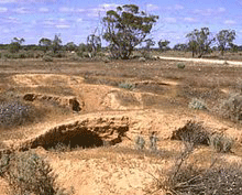 Verbreitungsgebiet Verbreitungsgebiet