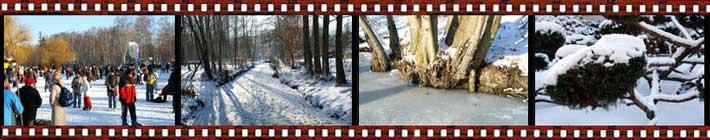 Winterwelt im Spreewald